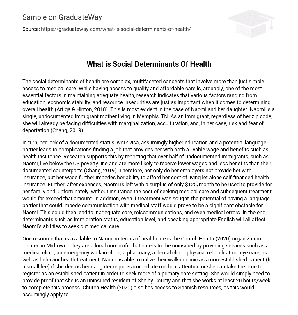 social determinants of health education essay