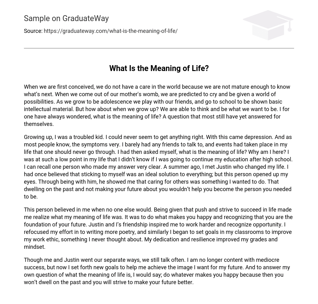 What Is the Meaning of Life?