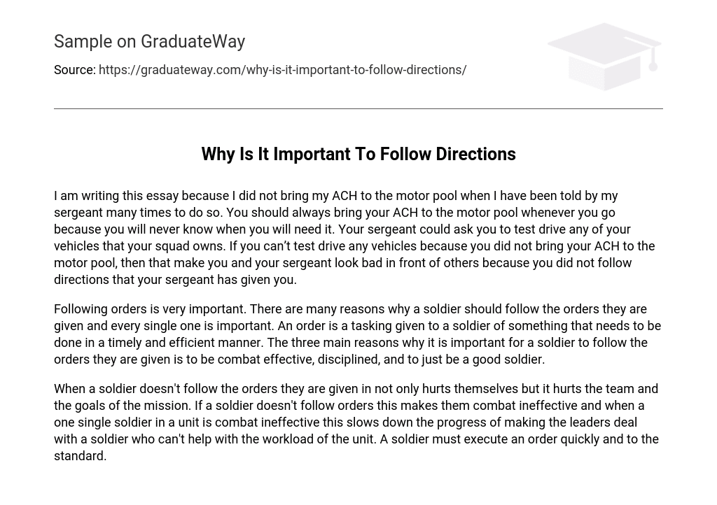 essay on the importance of following instructions