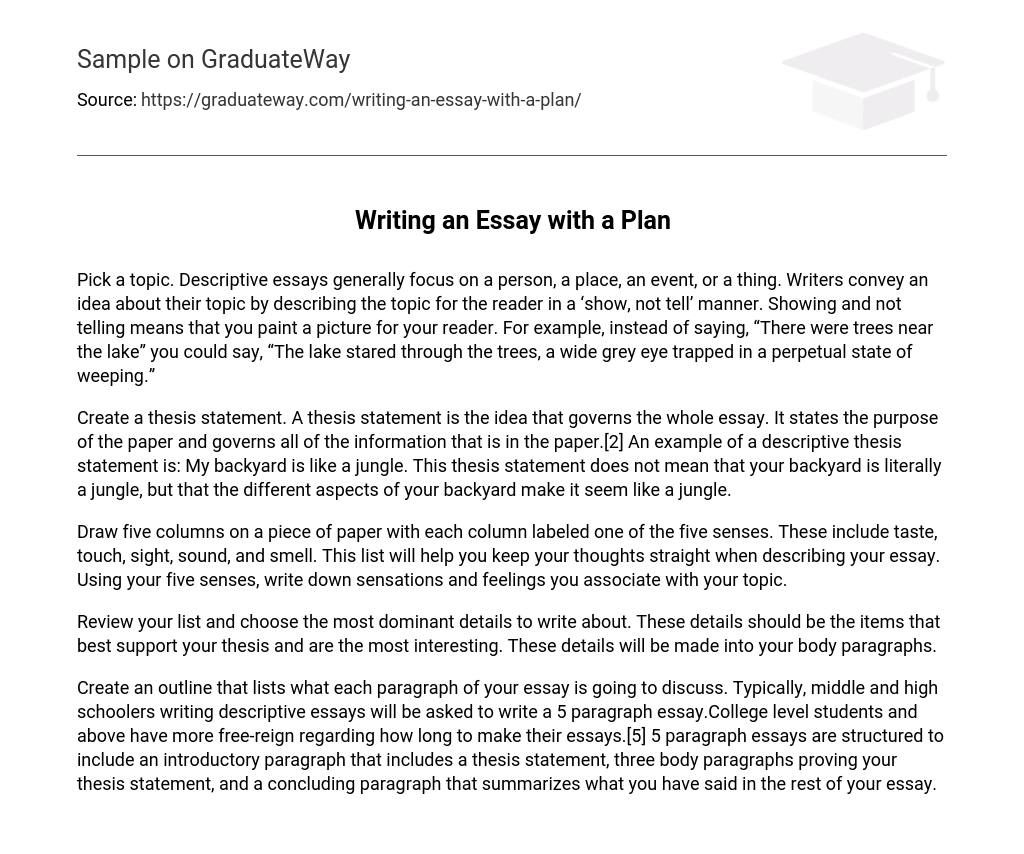 Writing an Essay with a Plan