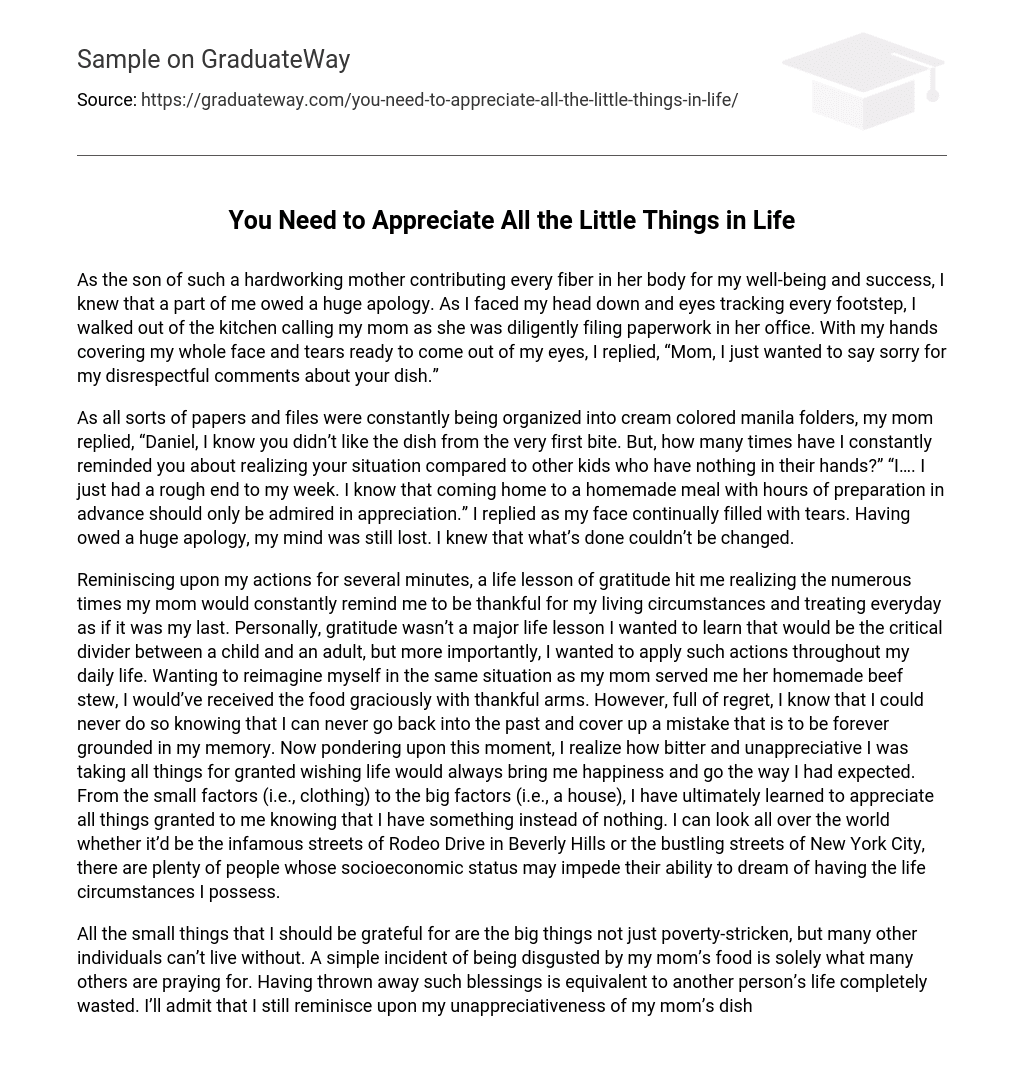 things you appreciate in life essay 150 words