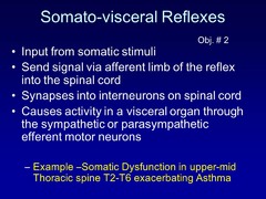 Describe the Somato-visceral reflex