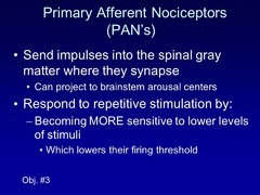 Describe what Primary Afferent Nociceptors do (PANs)