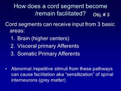 How does a cord segment become or remain facilitated?