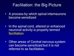 True or False? In the spinal cord, altered or enhanced neuronal activity is properly termed facilitation