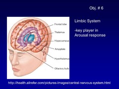 True or False? The Limbic systems is a key player in arousal response