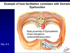 True or False? The proximity of the Sympathetic Chain Ganglia to the manubrium is an example of how SD can correlate w/ Facilitation via the affected chemical environment.