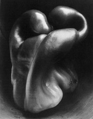 The American photographer Edward Weston focused closely on the subject of his Pepper No. 30, making the viewer concentrate on the ________ and ________ of the vegetable.
