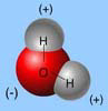 What type of bond is found between the oxygen and hydrogens?