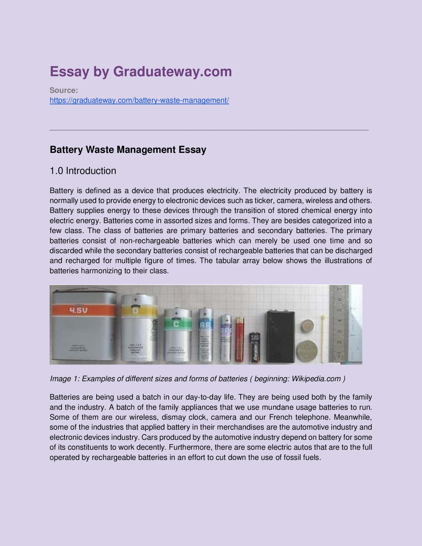 Battery Waste Management Essay Example | Graduateway