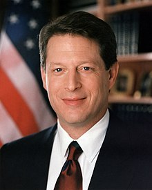 Essays on Al Gore