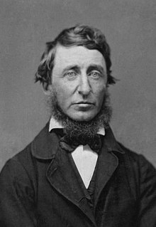 Essays on Henry David Thoreau