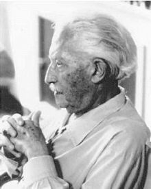 Essays on Erik Erikson