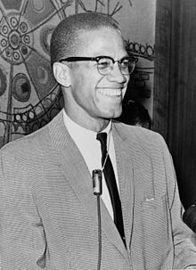 Essays on Malcolm X