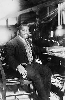 Essays on Marcus Garvey