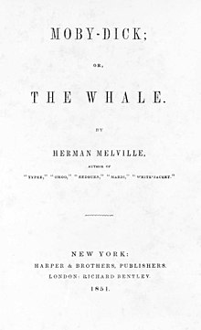 Essays on Moby Dick