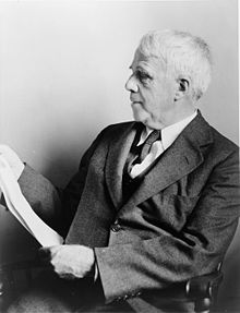 Essays on Robert Frost