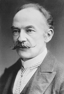 Essays on Thomas Hardy