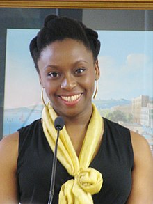 Essays on Chimamanda Ngozi Adichie