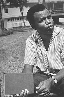 Essays on Chinua Achebe
