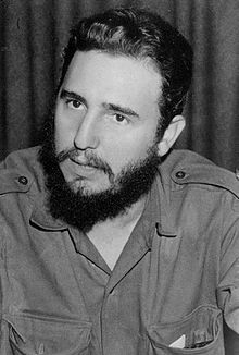 Essays on Fidel Castro