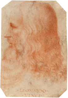 Essays on Leonardo Da Vinci