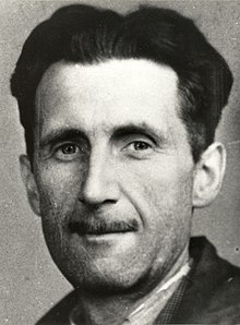 Essays on George Orwell