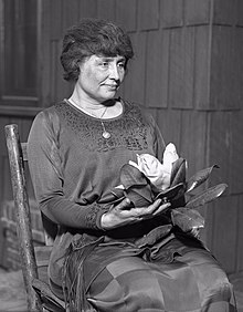 Essays on Helen Keller