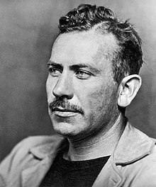 Essays on John Steinbeck