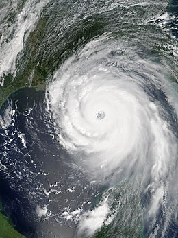 Essays on Hurricane Katrina