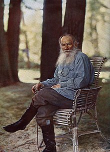 Essays on Tolstoy