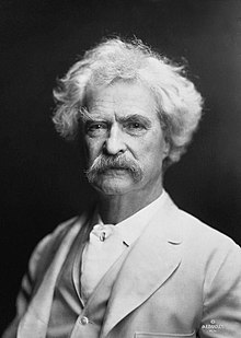 Essays on Mark Twain