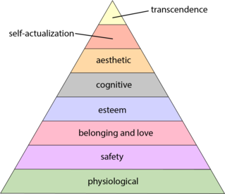 Essays on Maslow’s Hierarchy of Needs