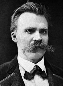 Essays on Friedrich Nietzsche