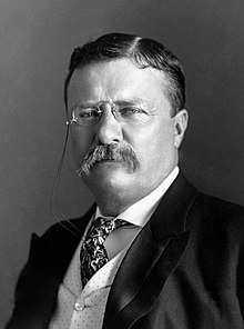 Essays on Theodore Roosevelt
