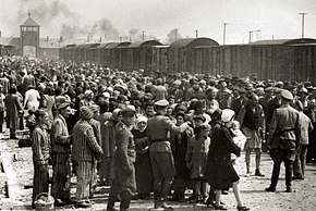 Essays on Holocaust