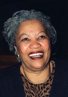 Essays on Toni Morrison