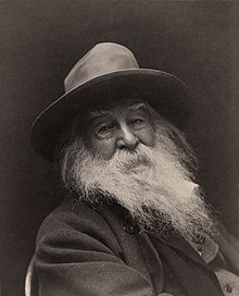 Essays on Walt Whitman